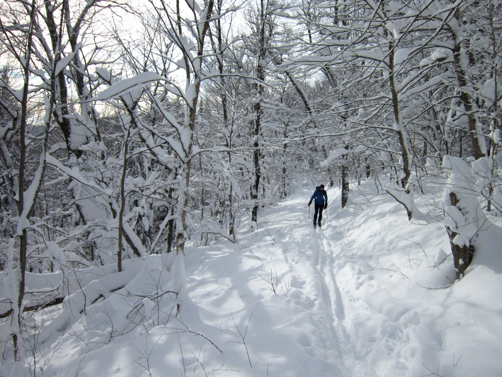 Achalandage Augment Dans Les Sentiers Cet Hiver Une Cohabitation