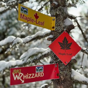 Le réseau de ski nordique reliant les villages de la région est un patrimoine unique que les Boucles blanches souhaitent mettre en valeur.  (Photo Jean-François Girard)