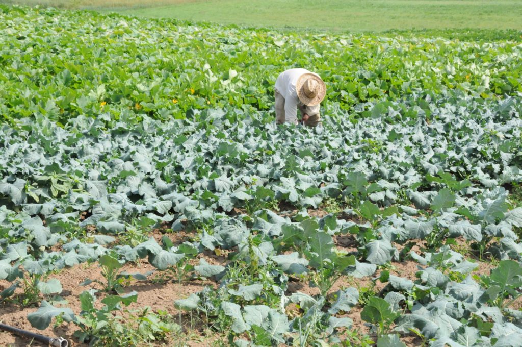 Taxes foncières sur les terres agricoles: «Il faut agir!»