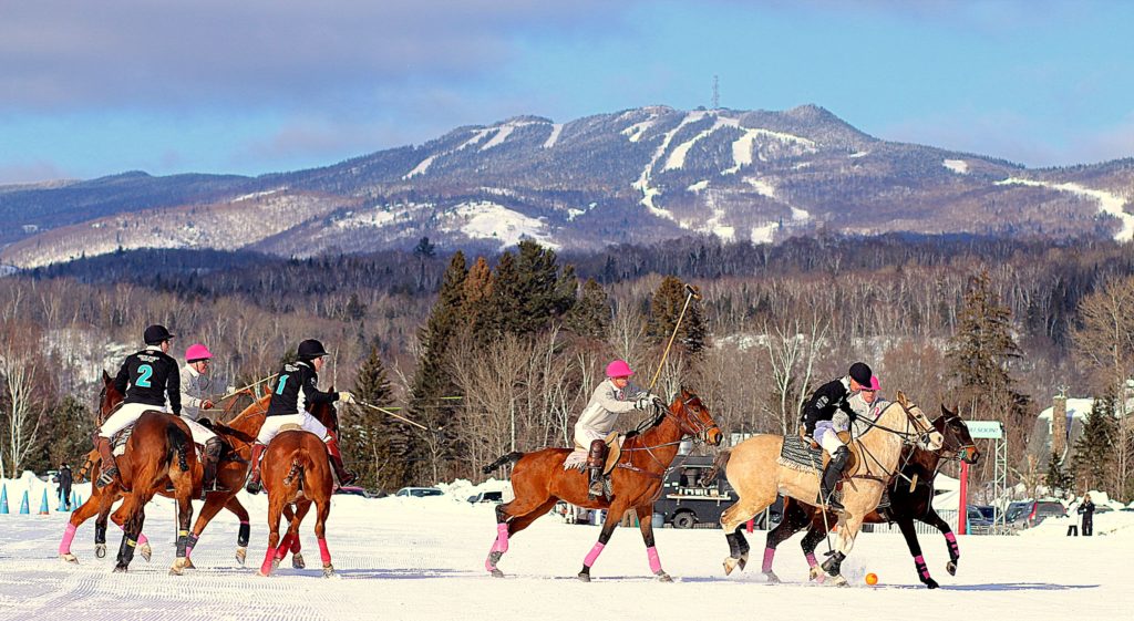 Le tournoi de polo sur neige est lancé