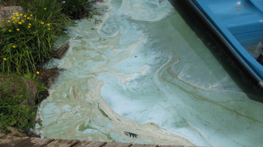 Le lac Xavier touché par les cyanobactéries