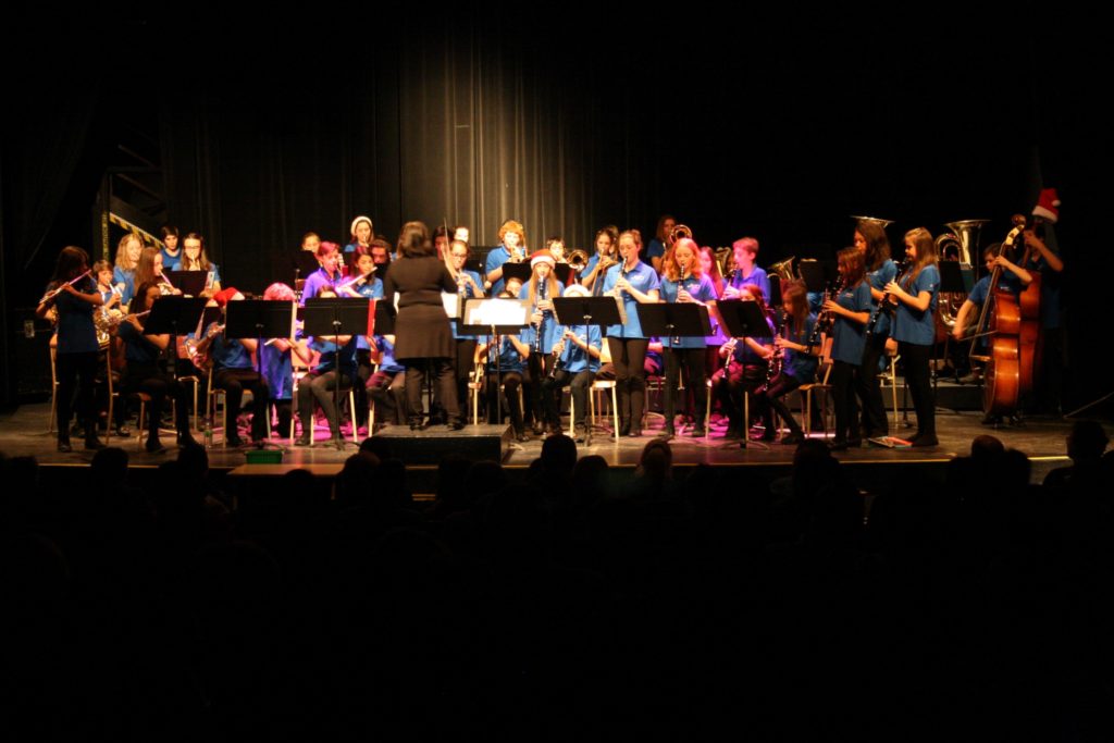 Concentration musique: les jeunes musiciens dévoilent leur talent