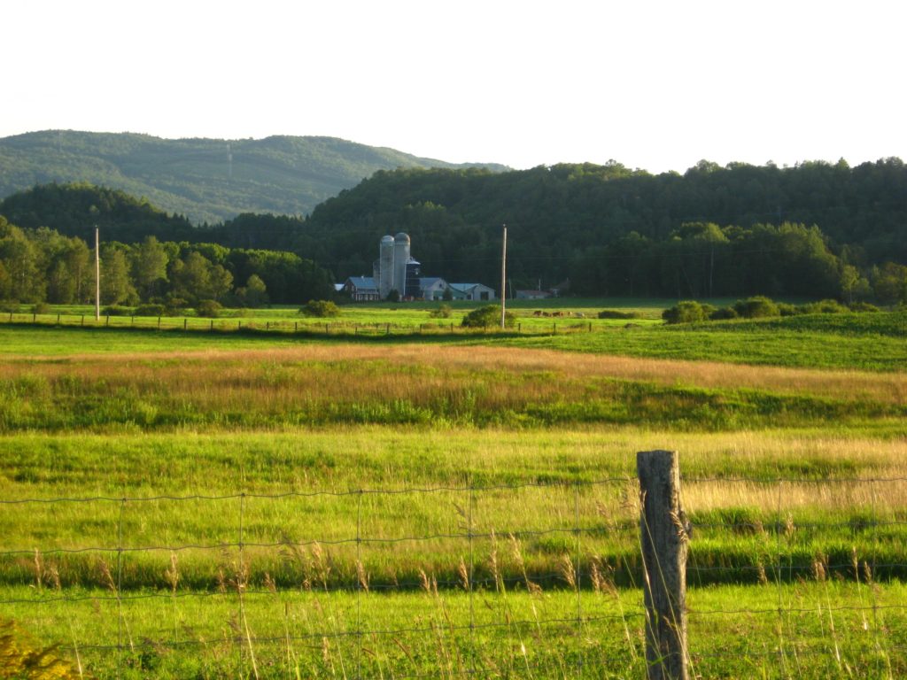 Hausse de 34% dans les Laurentides