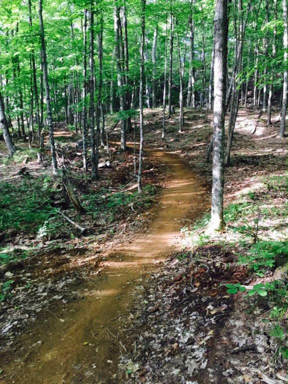Sentier en forêt : La Cachée déménage