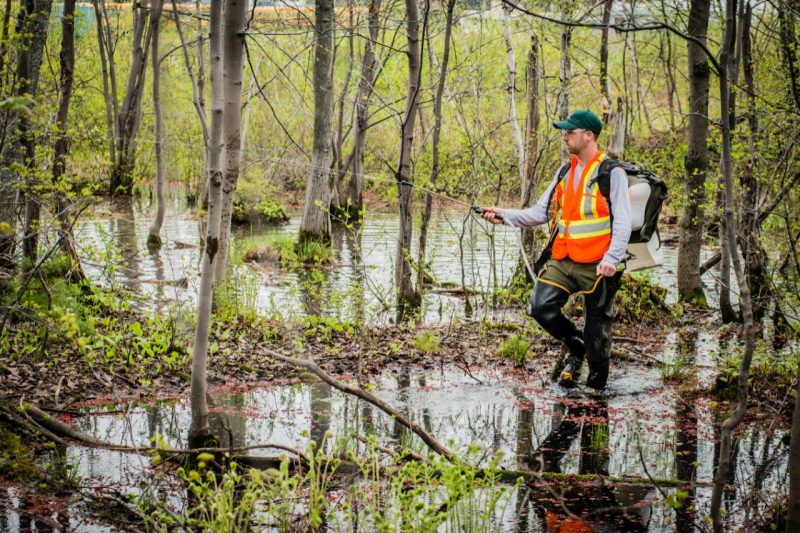 Le contrôle des insectes se poursuit à Lac-Supérieur