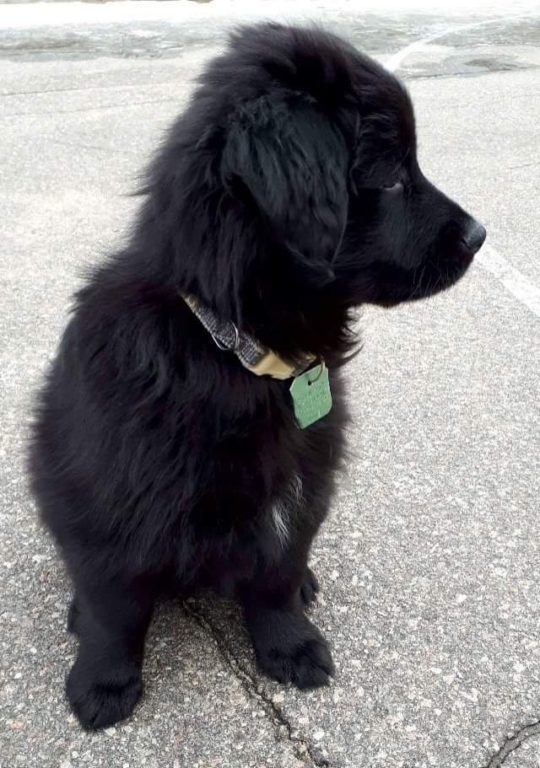 Qui a retrouvé Gaïa?
