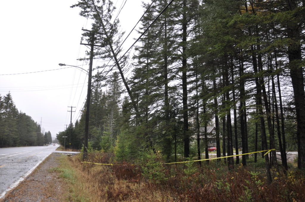 Plus de 5000 foyers passent la nuit sans électricité dans la MRC des Laurentides