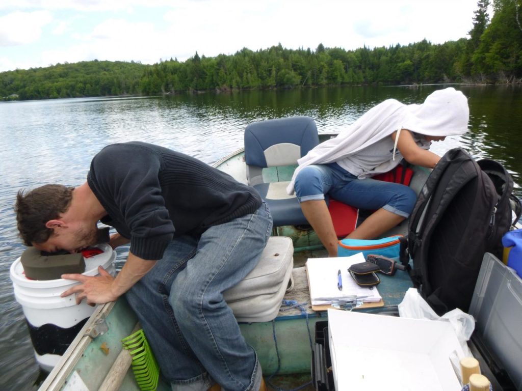 Les lacs de la MRC des Laurentides frappés de plein fouet
