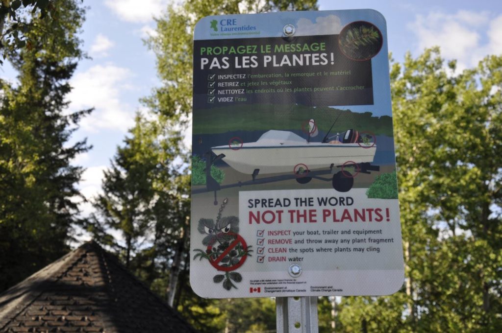 Le lac Maskinongé dépérit à une vitesse accélérée
