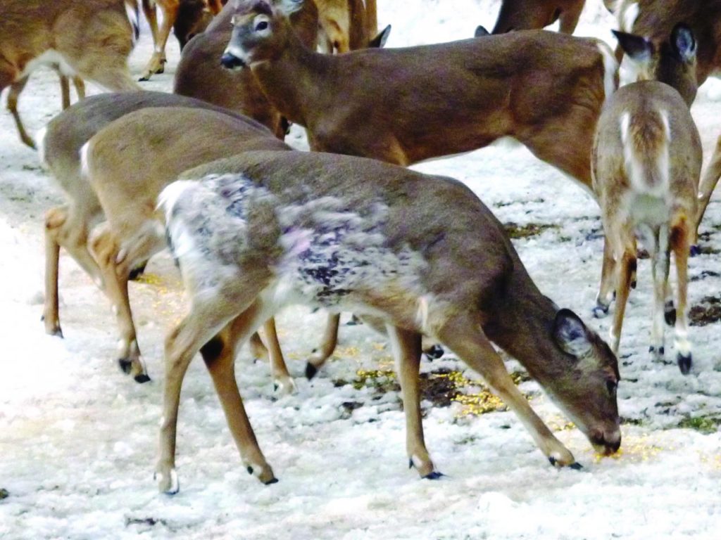 Plus d’impacts négatifs qu’autre chose
