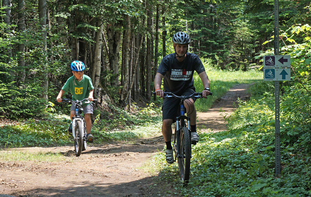 Découvrir nos forêts à vélo