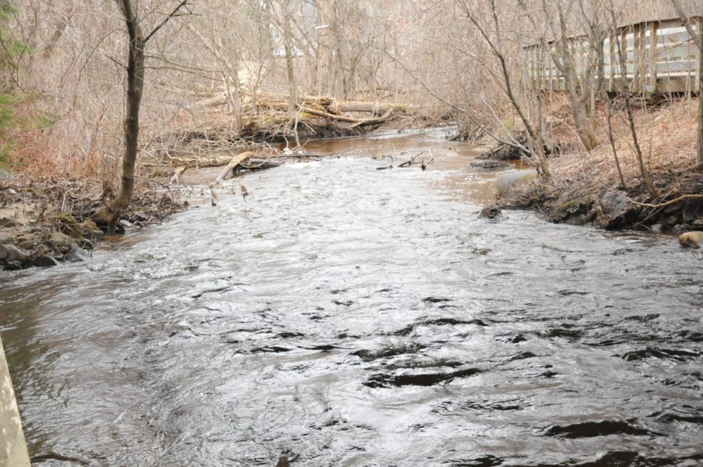 Les Tremblantois devront payer pour le ruisseau Clair