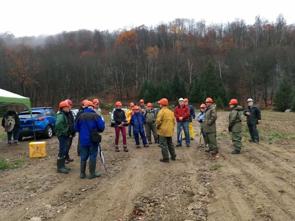 Les forêts privées, une mine d’or vert