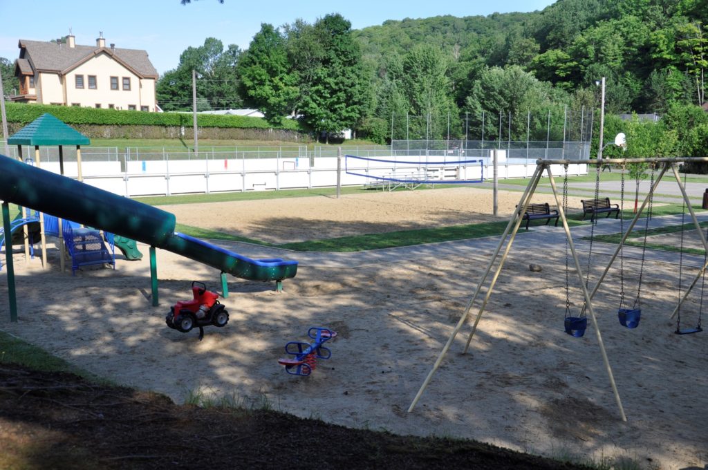 Le projet de toit sur la patinoire ne fait pas l’unanimité