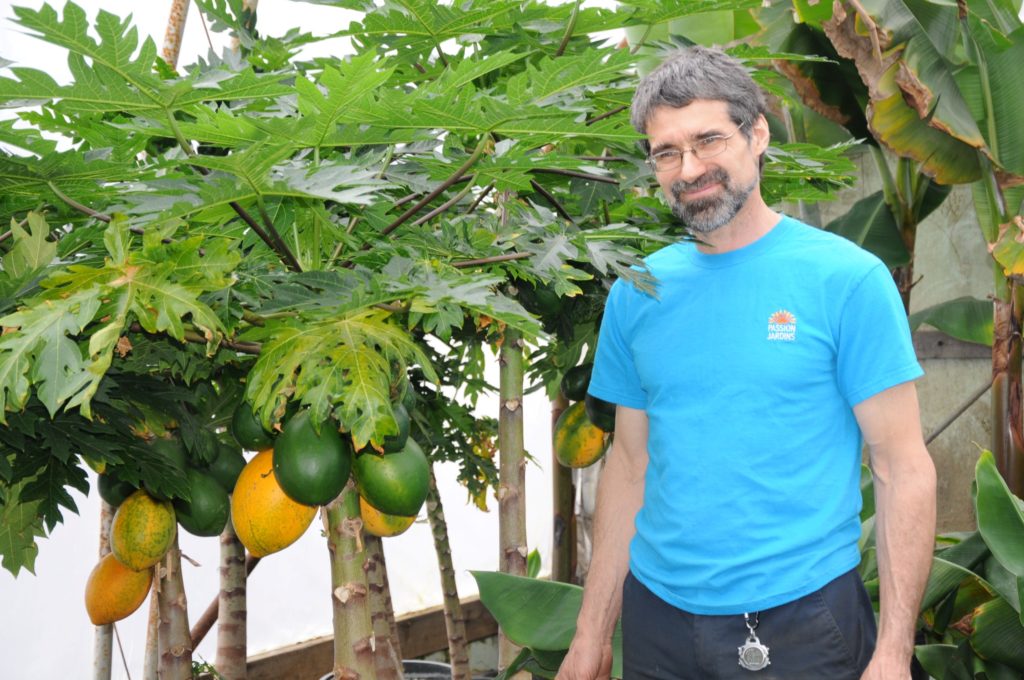 Les producteurs en serre demandent un coup de pouce