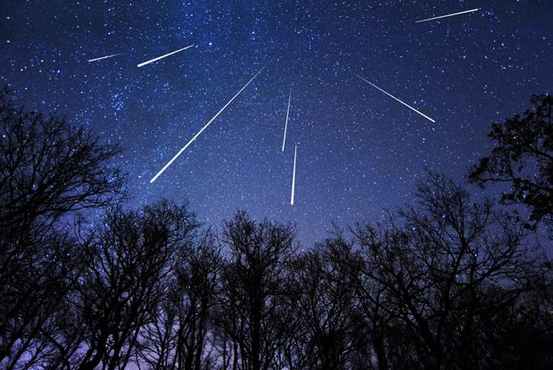 On découvre les étoiles filantes au Domaine Saint-Bernard