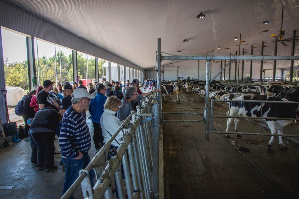 Les portes ouvertes sur la Ferme Raylou font accourir les foules
