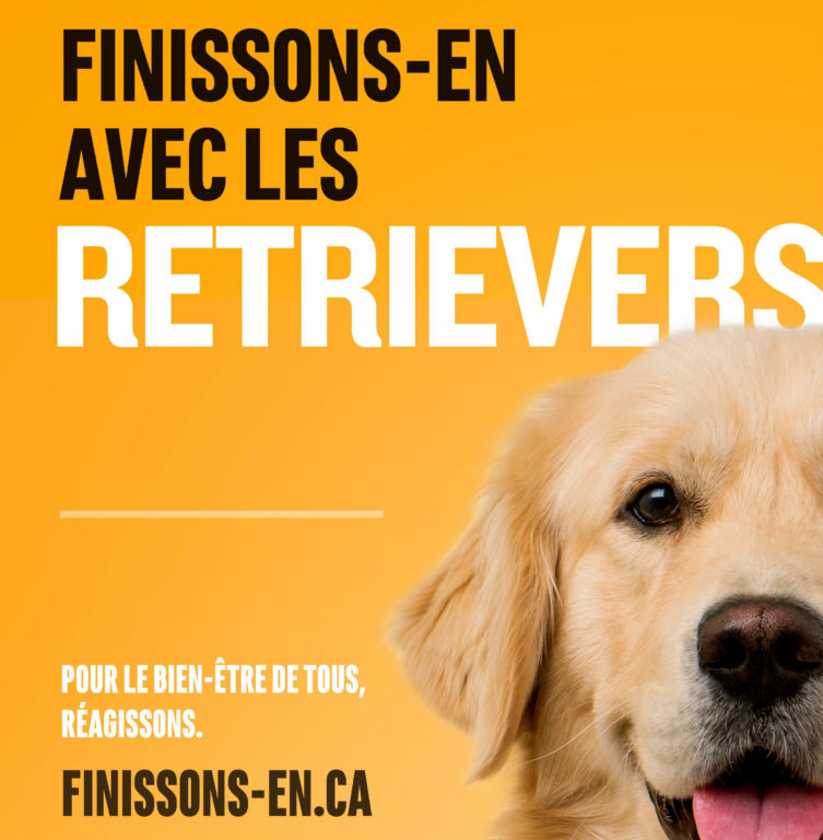 «Cessons de s’attarder aux races de chien»