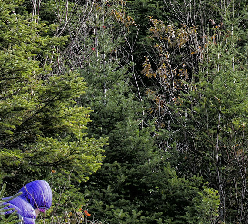 Mont-Tremblant connaît aussi l’itinérance