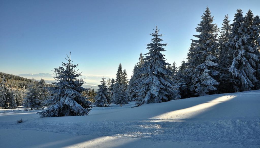 Fermeture de tous les sentiers à Mont-Tremblant