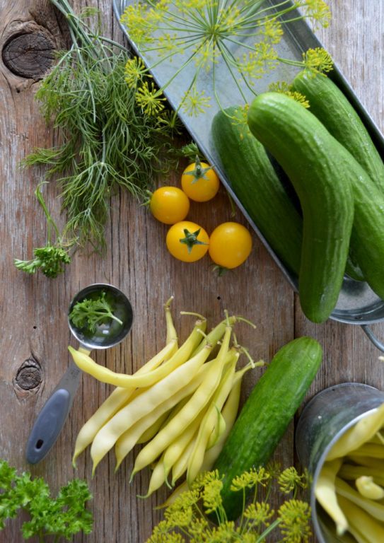 Une nouvelle coopérative pour le terroir laurentien