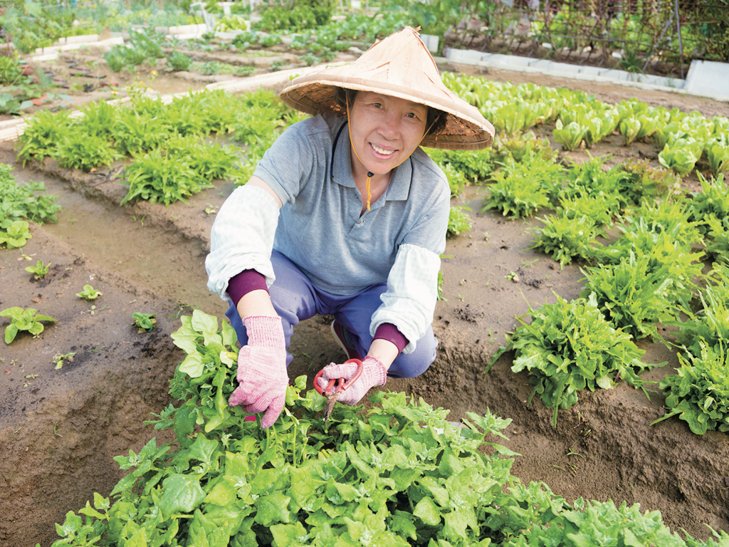 Vieillir en santé : 4 astuces des résidents d’Okinawa