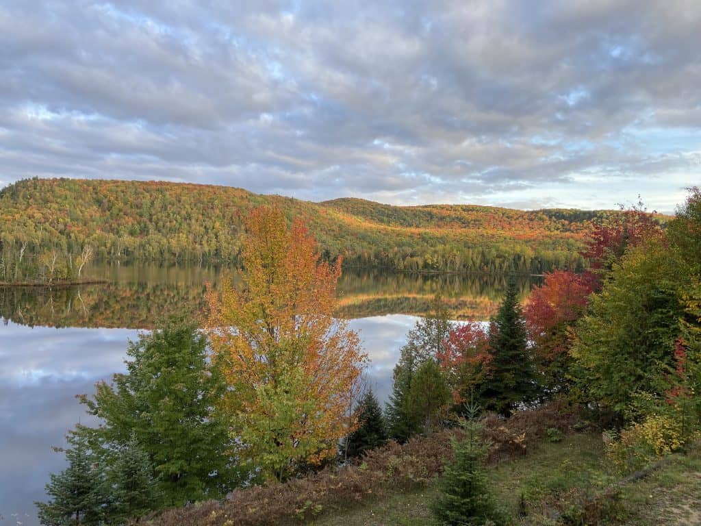 Que répond le ministère des Forêts aux citoyens du lac Croche?