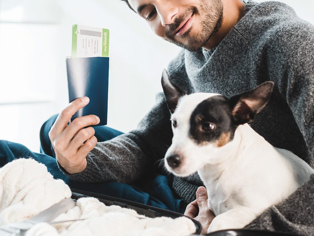 « Mon animal a-t-il besoin d’un passeport pour voyager avec moi? »