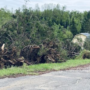 Plusieurs routes ont été bloquées par les arbres tombés. (Photo: Tremblant Média)