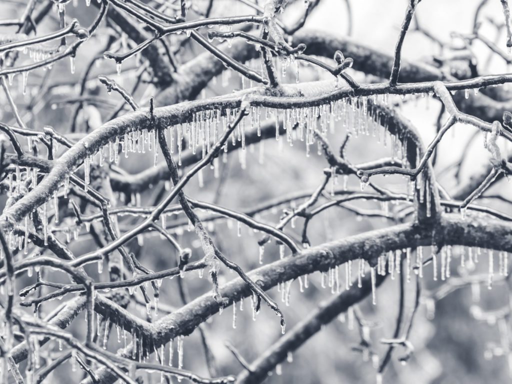 Il y a 25 ans, le Québec était paralysé sous la glace