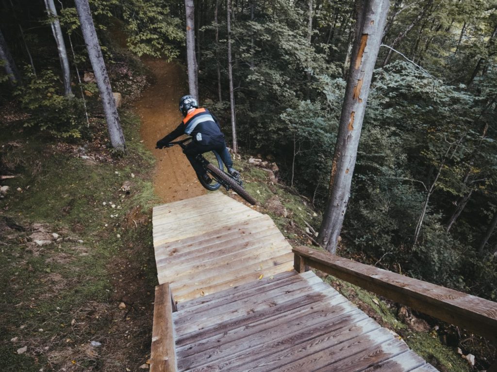 vélo de montagne, un homme, arbres, sentiers, pont en bois