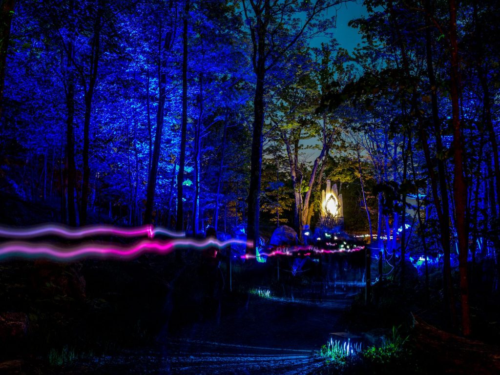 Découvrez le parcours nocturne de Tonga Lumina