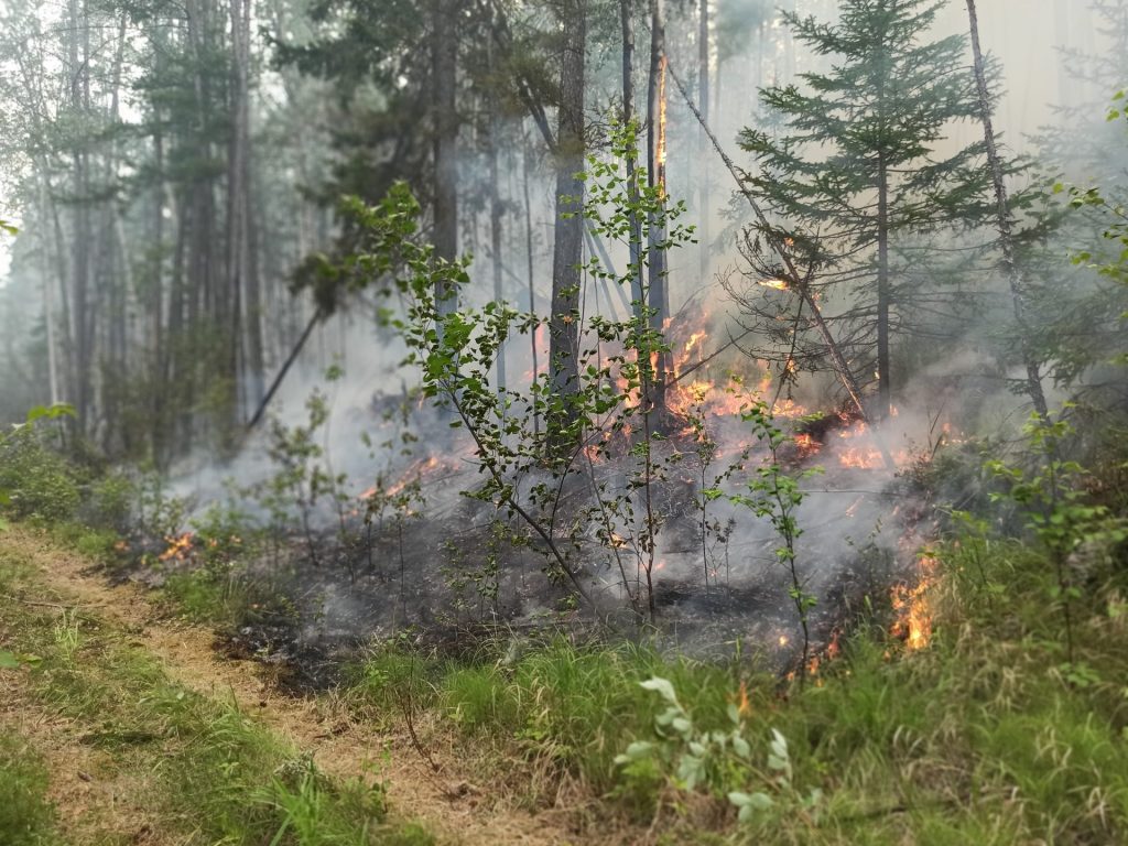 Feux de forêt : un Appui de 50 M$ pour aider les entreprises touchées