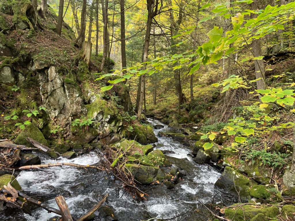 Plan Nature 2030 : appel à la mobilisation nationale