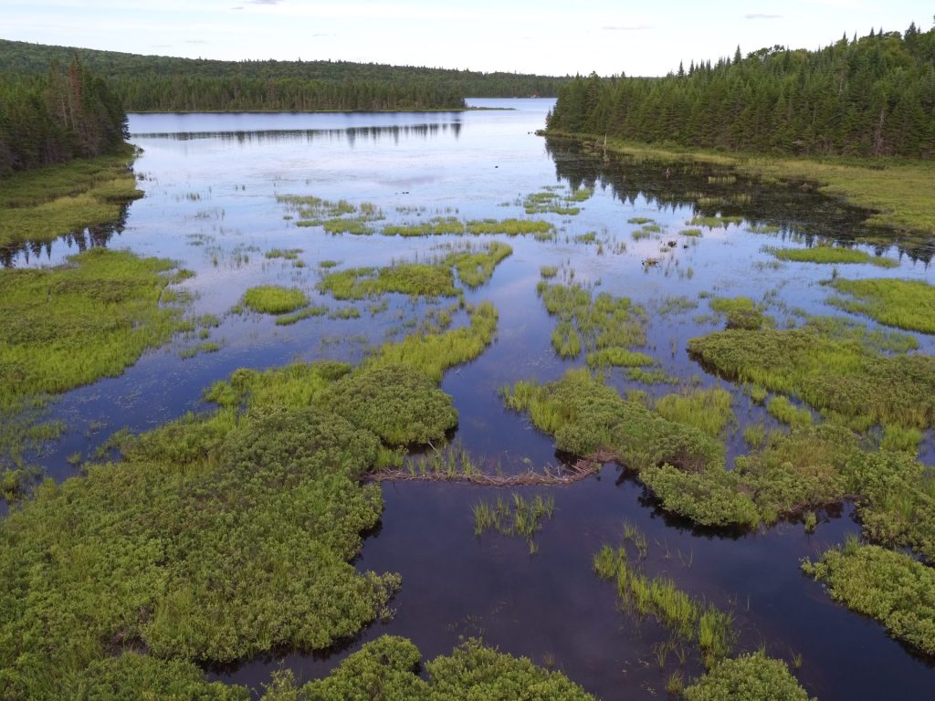 Les lacs des Laurentides sont-ils en santé ?