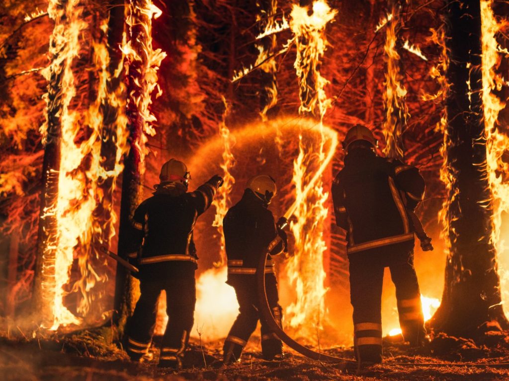 Un nombre de feux légèrement au-dessus de la moyenne en mars-avril