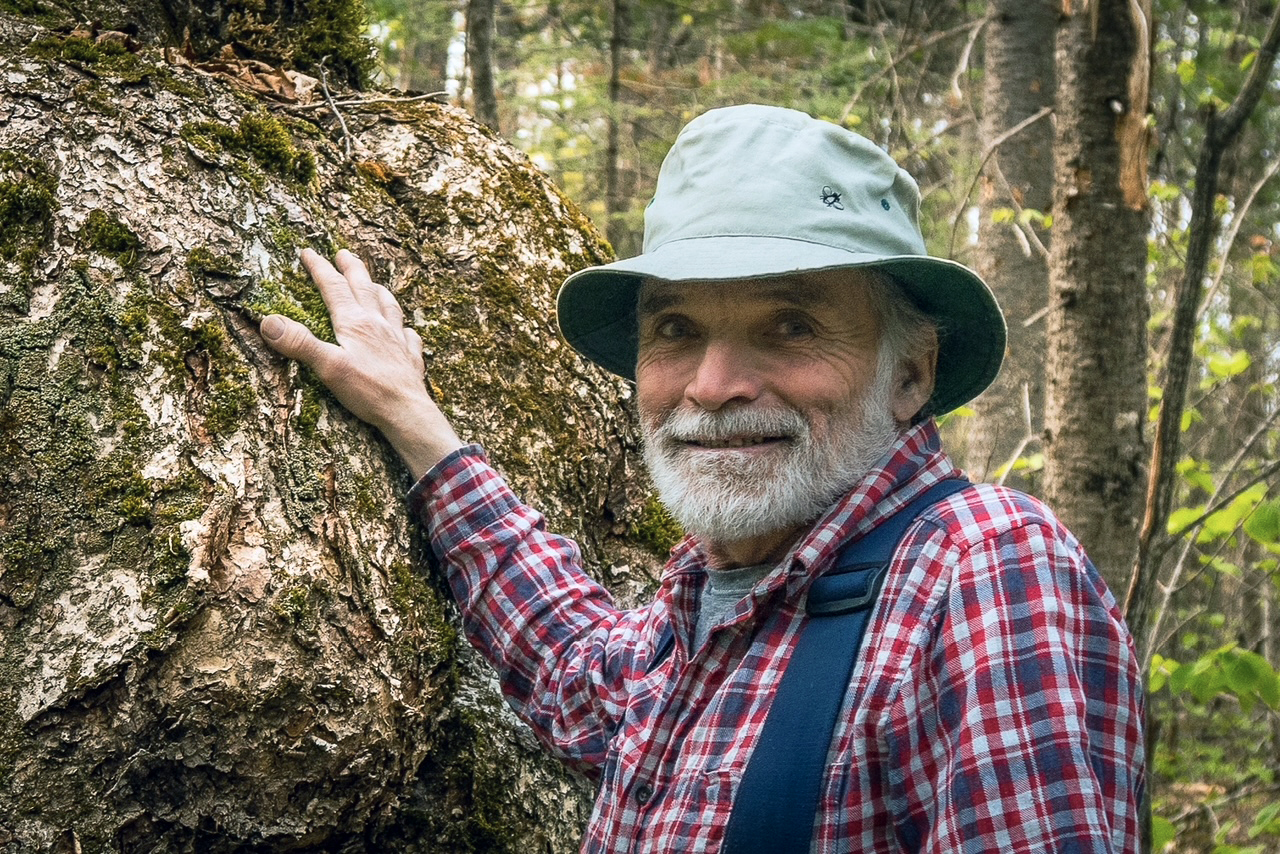 Un homme la main sur un arbre